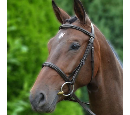 Hy Equestrian Padded Cavesson Bridle/Rubber Grip Reins Brown