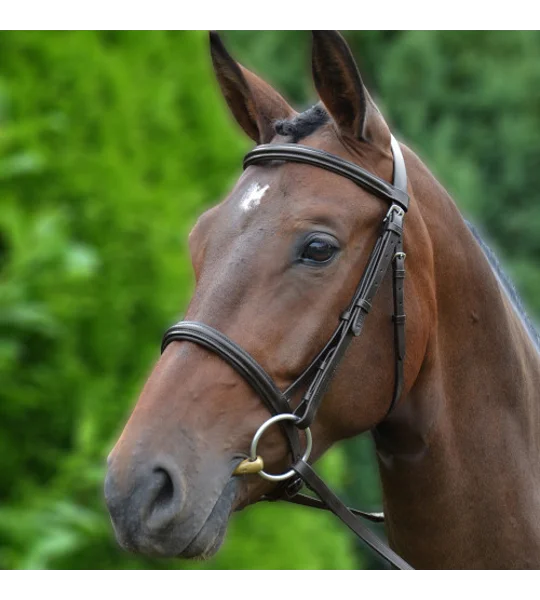 Hy Equestrian Padded Cavesson Bridle/Rubber Grip Reins Brown