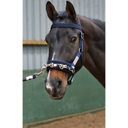 Whitaker Lunge Cavesson Navy