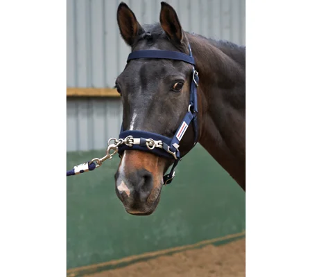Whitaker LCAV Lunge Cavesson Navy