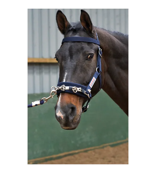 Whitaker LCAV Lunge Cavesson Navy
