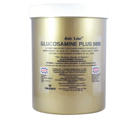 Gold Label Glucosamine Plus 5000