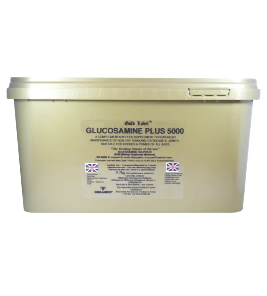 Gold Label Glucosamine Plus 5000