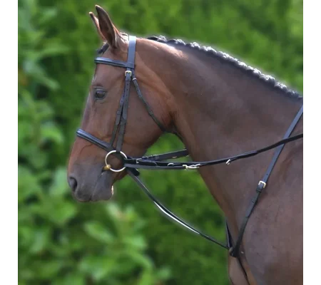 Hy Equestrian Market Harborough - Black - Cob/Full