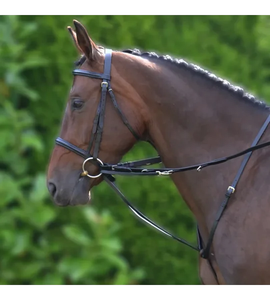 Hy Equestrian Market Harborough - Black - Cob/Full