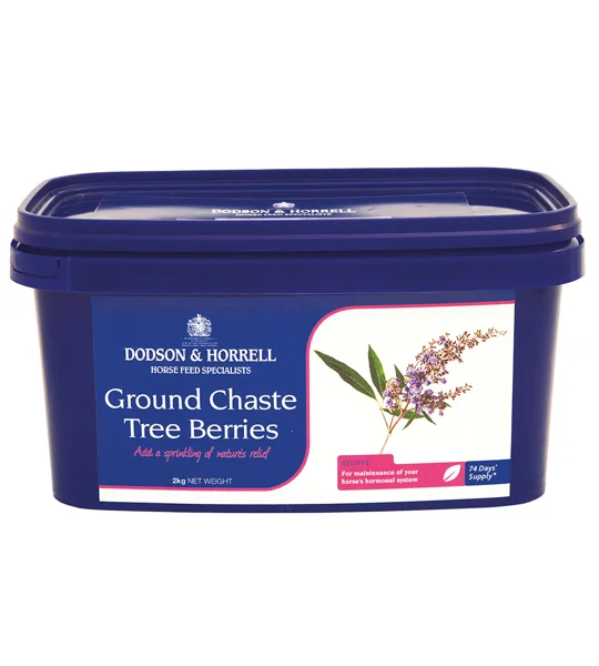 D&H Ground Chaste Tree Berries - 2 Kg