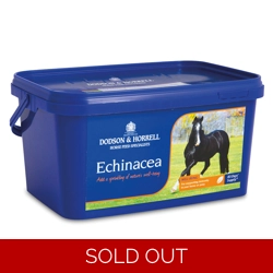 D&H Echinacea- 1 Kg