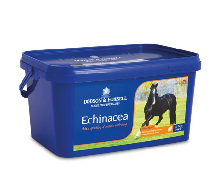 D&H Echinacea- 1 Kg