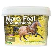 NAF Mare, Foal & Youngs..
