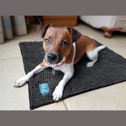 Henry Wag Microfibre Noodle Pet Mat