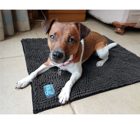 Henry Wag Microfibre Noodle Pet Mat