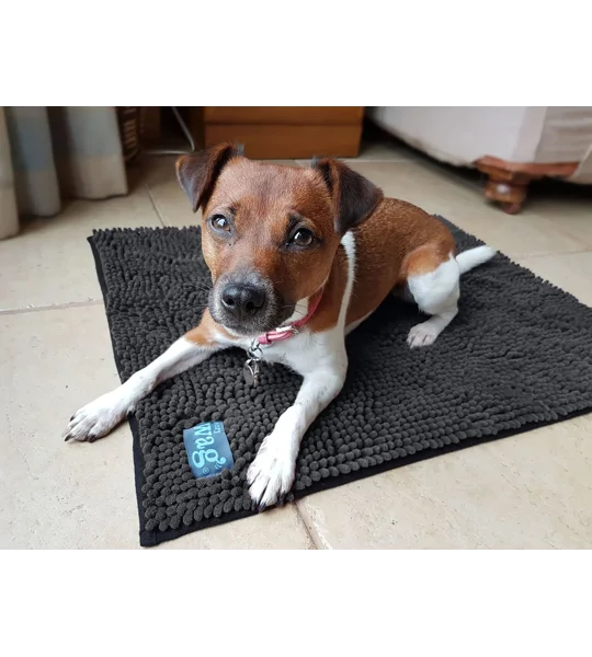 Henry Wag Microfibre Noodle Pet Mat