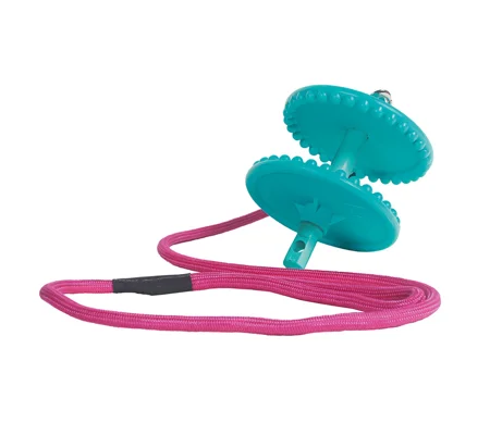 Likit Holder Aqua