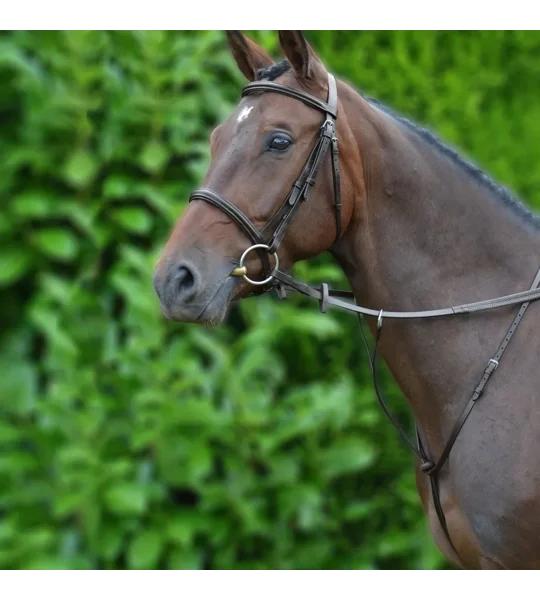 Hy Equestrian Running Martingale Brown