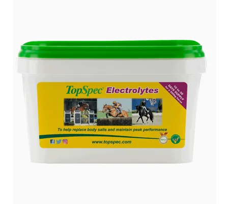 TopSpec Electrolytes x 1.5 Kg