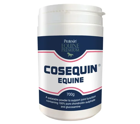 Protexin Cosequin Equine x 700 Gm