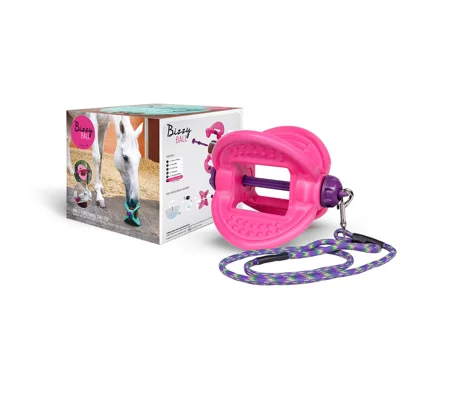 Bizzy horse pink toy