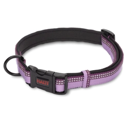 Halti dog collar purple
