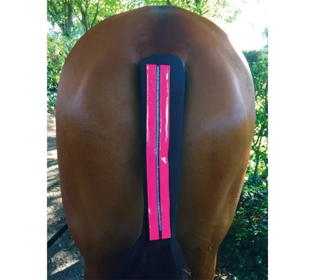 Equisafety LED Rechargeable Flashing Tail Guard
