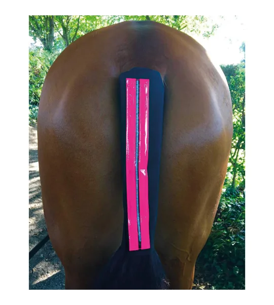 Equisafety LED Rechargeable Flashing Tail Guard