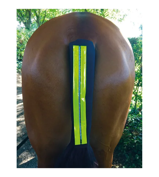 Equisafety LED Rechargeable Flashing Tail Guard
