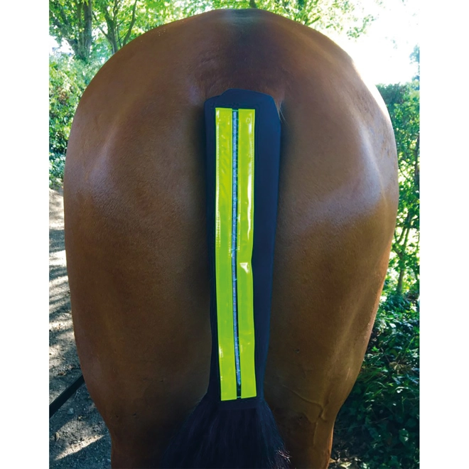 Additional Image for Equisafety LED Rechargeable Flashing Tail Guard
