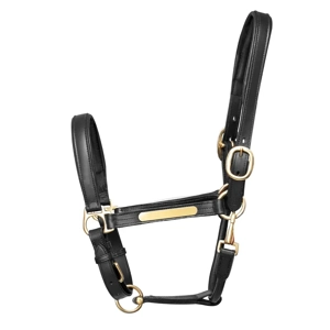 Hy Equestrian Leather Head Collar Black