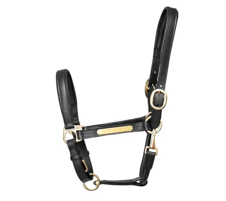 Hy Equestrian Leather Head Collar Black