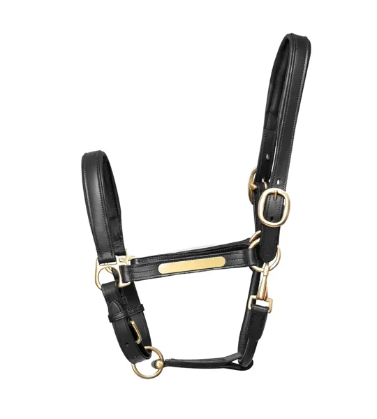 Hy Equestrian Leather Head Collar Black