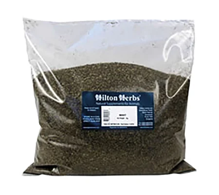 Hilton Herbs Mint 1 Kg Bag