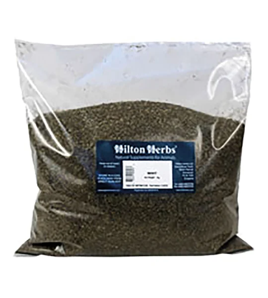 Hilton Herbs Mint 1 Kg Bag
