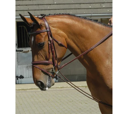 Whitaker Training Rein