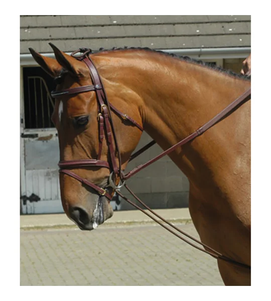 Whitaker Training Rein