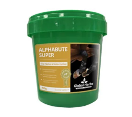 Global Herbs Alphabute Super 400 Gm