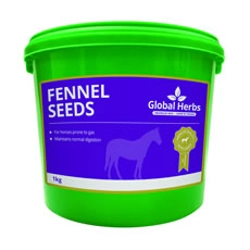 Global Herbs Fennel 1kg