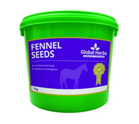 Global Herbs Fennel 1kg