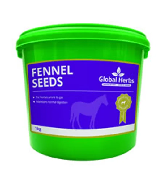 Global Herbs Fennel 1kg