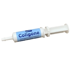 H.Bradshaws Coligone Oral Syringe 50 Gm Syringe