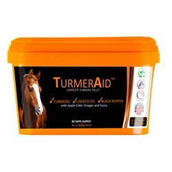 Golden Paste Company Turmeraid 2kg