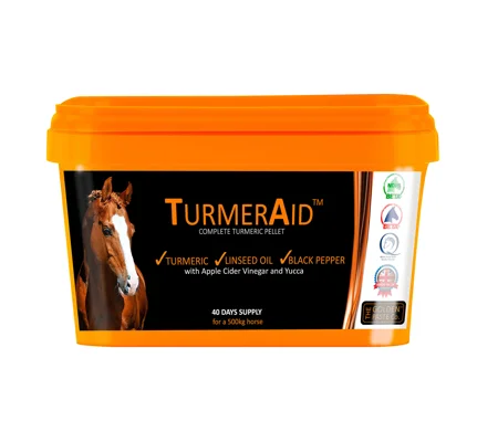 Golden Paste Company Turmeraid 2kg