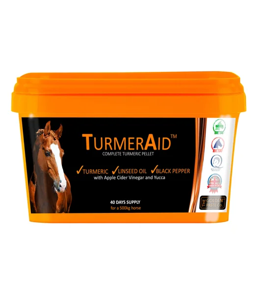Golden Paste Company Turmeraid 2kg