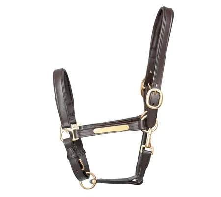 Hy Equestrian Leather Head Collar Brown