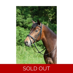 Kieffer Ergonomic Line Snaffle Bridle