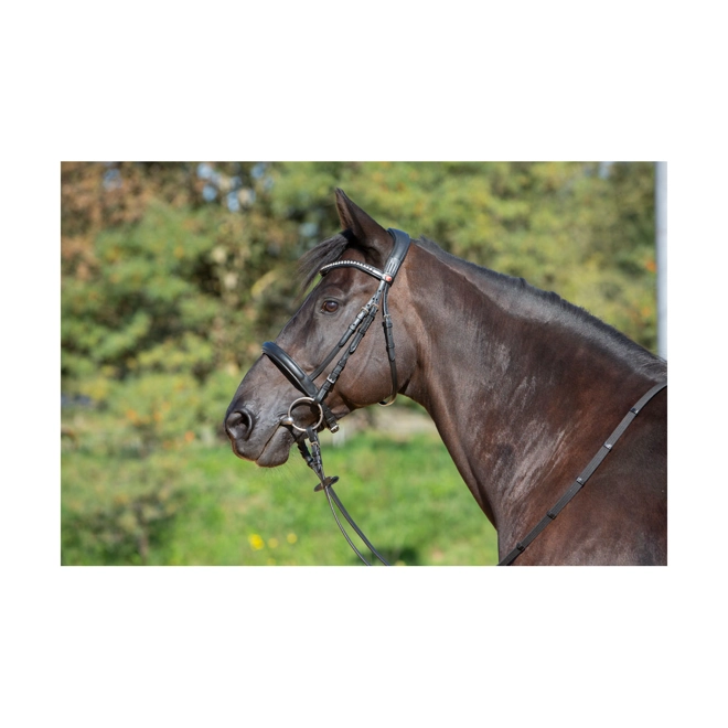 Additional Image for Kieffer Ultrasoft Sue Snaffle Bridle - Black