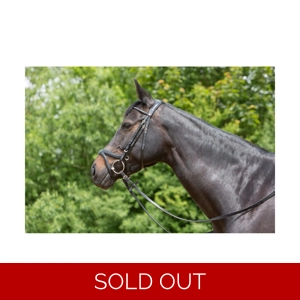 Kieffer Ultrasoft Tara Snaffle Bridle