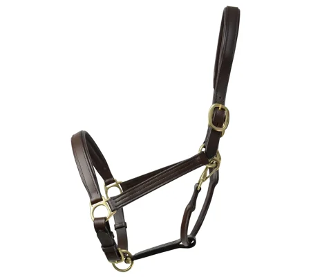 Coldstream Leather Padded Head Collar Brown