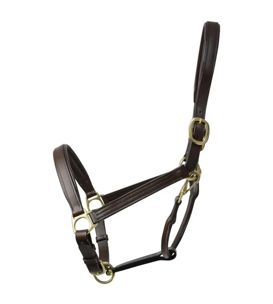 Coldstream Leather Padded Head Collar Brown
