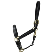Coldstream Leather Padded Head Collar  Black