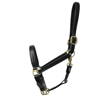 Coldstream Leather Padded Head Collar Black