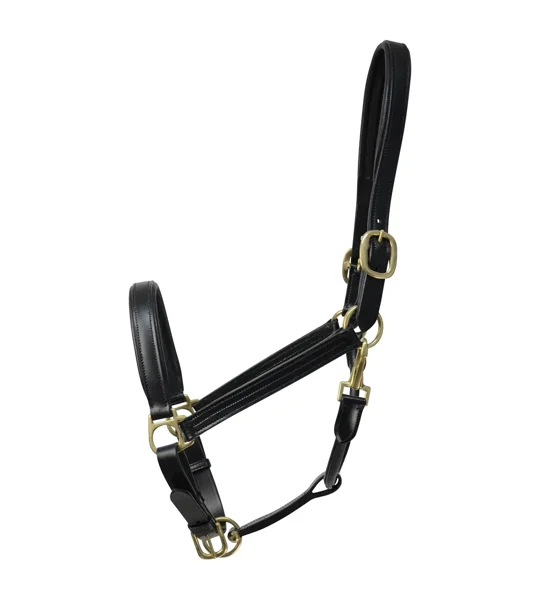 Coldstream Leather Padded Head Collar Black